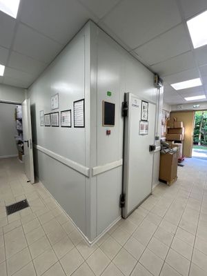 une photo d'un couloir dans un immeuble, avec des tableaux accrochés au mur
