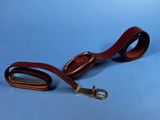 a close up of a leather leash with a metal buckle