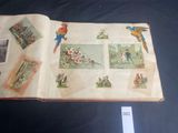 an open book with pictures of animals and birds on it