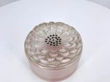 a small glass box with a flower on it