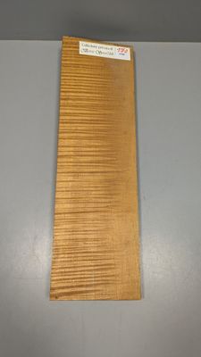 Fond en érable pour violon, ~39,5cm