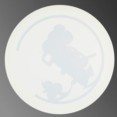 a white plate with a picture of a person on a skateboard in the middle of it