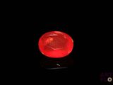 an image of a red glass ball on a black surface