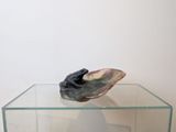 a glass table with a shell on top of it