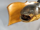 a fish head mounted on the wall of a room