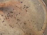 a brown vase sitting on a table with a tag on it