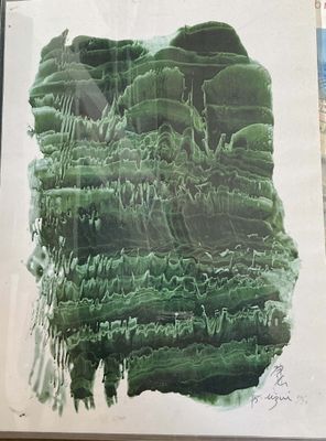 une photo d'une plante verte posée sur une table