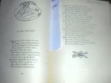 an open book with a drawing of a woman on it