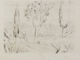 pencil drawing of a landscape with trees and bushes in the foreground