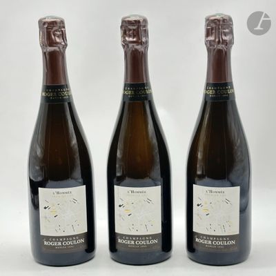 3 B CHAMPAGNE EXTRA-BRUT PREMIER CRU L'HOMMÉE (dégorgement avril 2022) - Photo 1