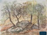 une image représentant un tableau où l'on voit des arbres et des rochers dans un champ