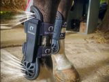 un gros plan sur les pattes d'un cheval chaussées de guêtres