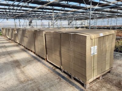 Plusieurs cartons sont empilés sur des palettes dans une serre remplie de plantes