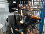 les nombreuses oranges qui se trouvent dans les bacs sur l'étagère