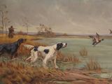 two dogs that are standing in the grass by the water