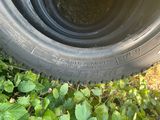 un pneu posé dans l'herbe