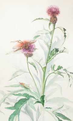 SEREBRIAKOFF (Ecole XXe) Etude de mouche / Libellule et char…