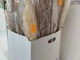 a white box with a bunch of food wrapped in plastic