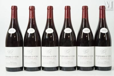 six bouteilles de vin sont alignées sur une surface blanche