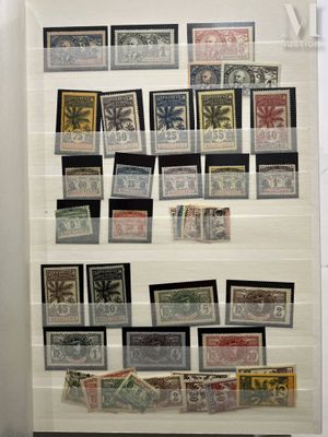 a picture of a display of stamps in a glass case