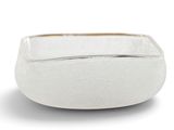 white ceramic bowl with gold rim on a white background
