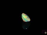 an oplite in the dark with a black background