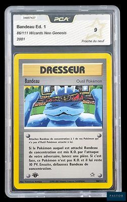 la carte se trouve dans un étui en plastique transparent bordé de jaune