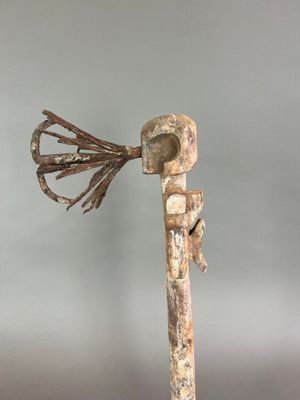 une image représentant un bâton en bois sur lequel est perché un oiseau