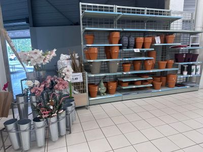 de nombreuses plantes en pot sur les étagères du magasin
