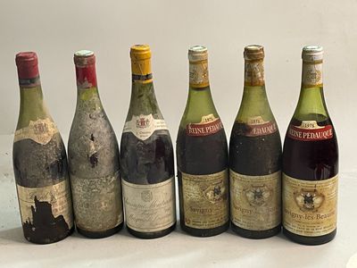 six bouteilles de vin sont alignées sur une table