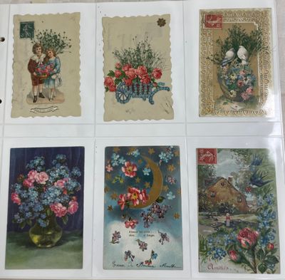 1 Classeur havane avec des CPA sur le thème Fleurs (celluloï…