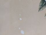 a picture of a painting of a white flower on the wall