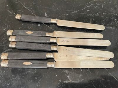 six couteaux sont alignés sur une table, dans un porte-couteaux