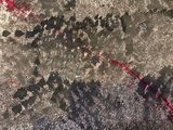 a picture of a painting with red paint on the ground
