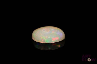 an oplite in the dark with a black background