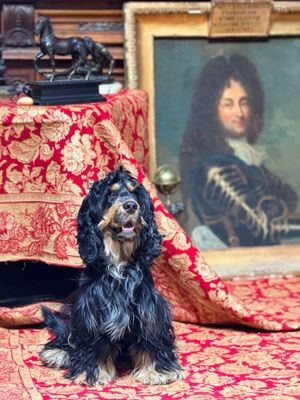 un chien assis sur un lit à côté d'un tableau