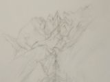 dessin au crayon représentant un vase rempli de fleurs posé sur une table