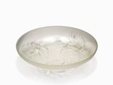 an image of a glass plate with a flower design on it