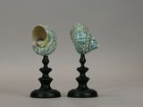 two seashells sitting on top of black candlesticks
