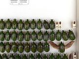 a lot of green bugs that are on the wall