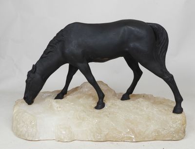 un cheval noir qui se tient debout sur un rocher