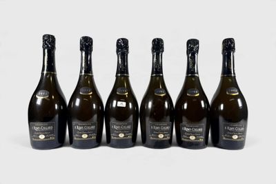 six bouteilles de champagne alignées sur une surface blanche