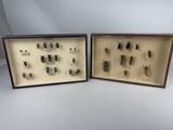 two framed insect specimens of various types and sizes