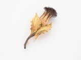 a piece of fruit that looks like a bird ' s head
