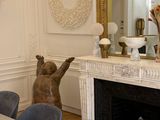 a statue of a bear that is standing in front of a fireplace