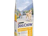 un gros plan d'un sac de croquettes pour chien sur fond blanc