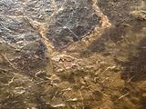 an image of a close up view of a stone wall
