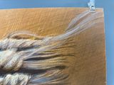 une photo d'une peinture représentant une tresse sur une feuille de papier