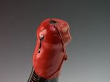 a close up of a red object on a black object