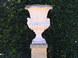 a white vase on a pedestal in front of a hedge